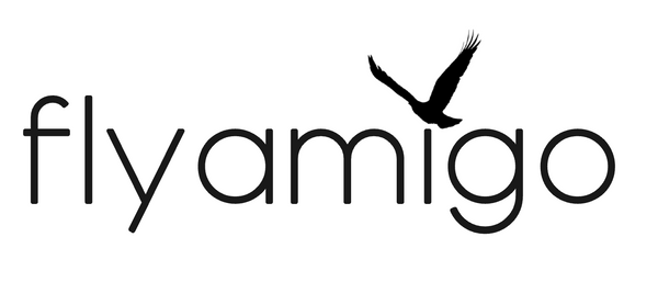flyamigo, LLC